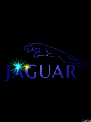 Jaguar-Glitters-55241